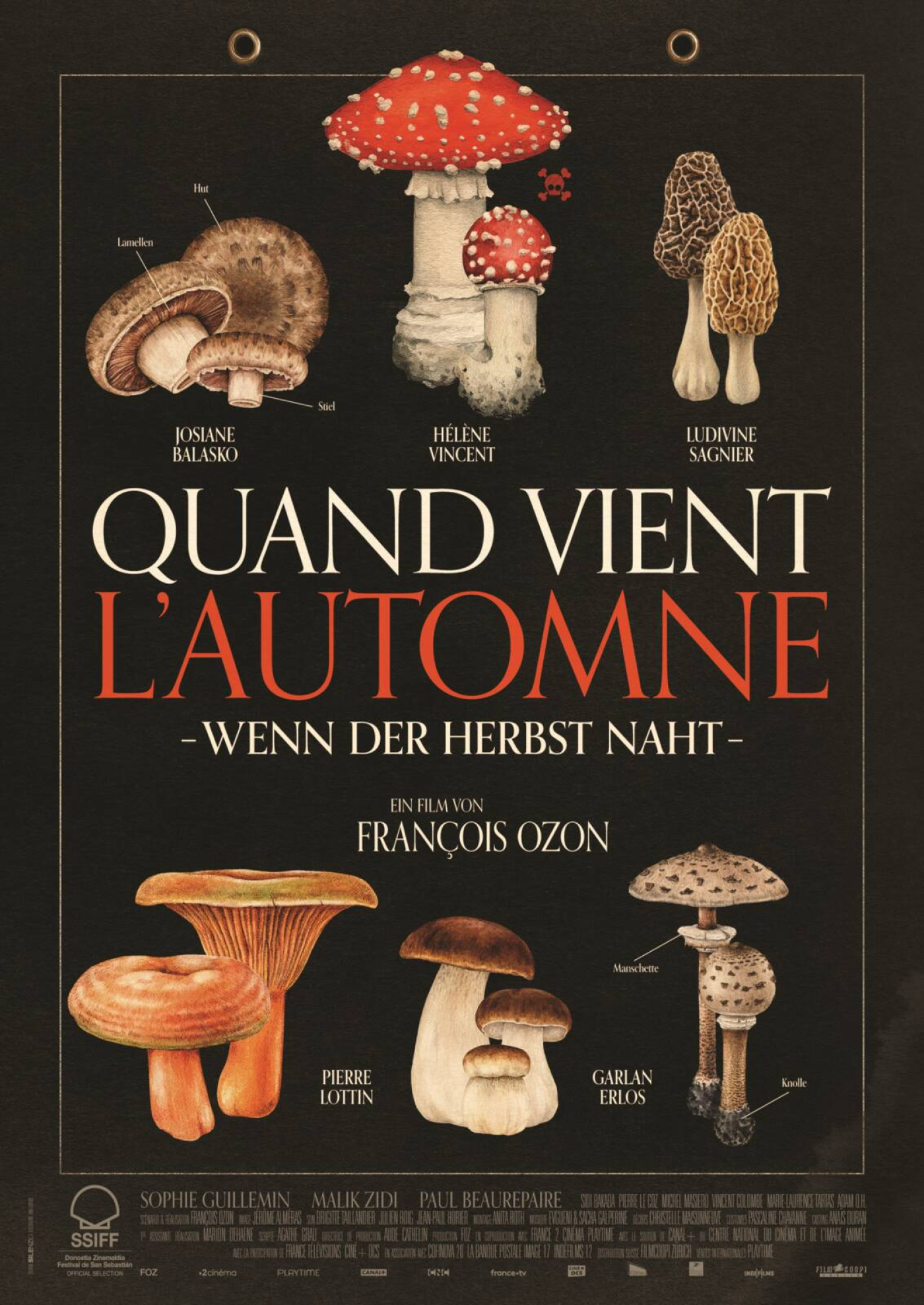 QUAND VIENT L’AUTOME